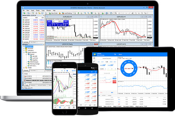 forex club web терминал